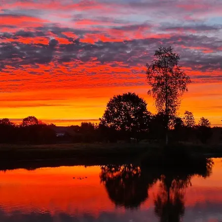 Siedlisko W Otulinie Drawskiego Parku Krajobrazowego Z Wlasnym Stawem * Полчин-Здруй