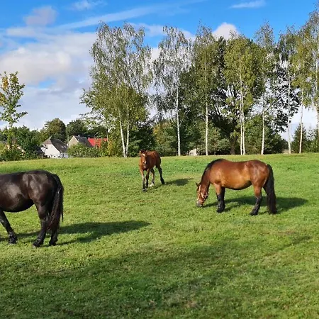 Feriehus Siedlisko W Otulinie Drawskiego Parku Krajobrazowego Z Wlasnym Stawem